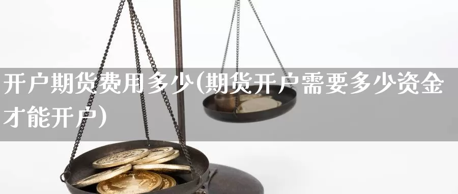 开户期货费用多少(期货开户需要多少资金才能开户)_https://www.hs300zs.com_行业分析_第1张