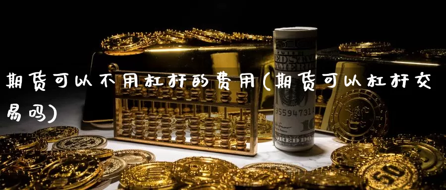 期货可以不用杠杆的费用(期货可以杠杆交易吗)_https://www.hs300zs.com_内盘期货_第1张