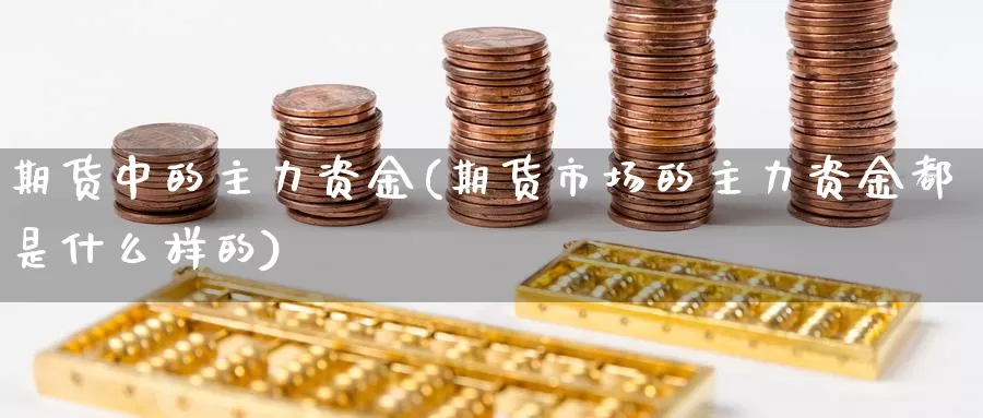 期货中的主力资金(期货市场的主力资金都是什么样的)_https://www.hs300zs.com_农产品期货_第1张