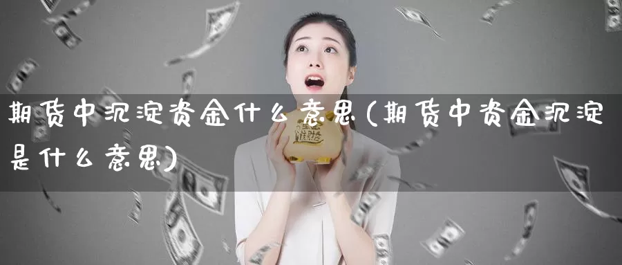 期货中沉淀资金什么意思(期货中资金沉淀是什么意思)_https://www.hs300zs.com_技术分析_第1张