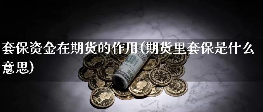 套保资金在期货的作用(期货里套保是什么意思)_https://www.hs300zs.com_期货科普_第1张