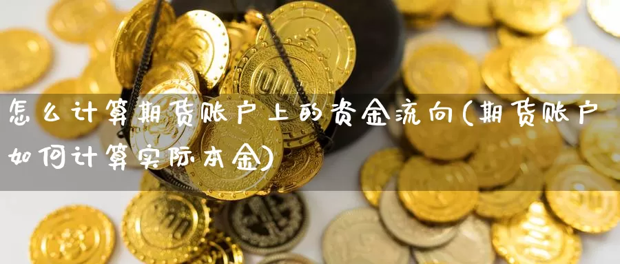 怎么计算期货账户上的资金流向(期货账户如何计算实际本金)_https://www.hs300zs.com_农产品期货_第1张