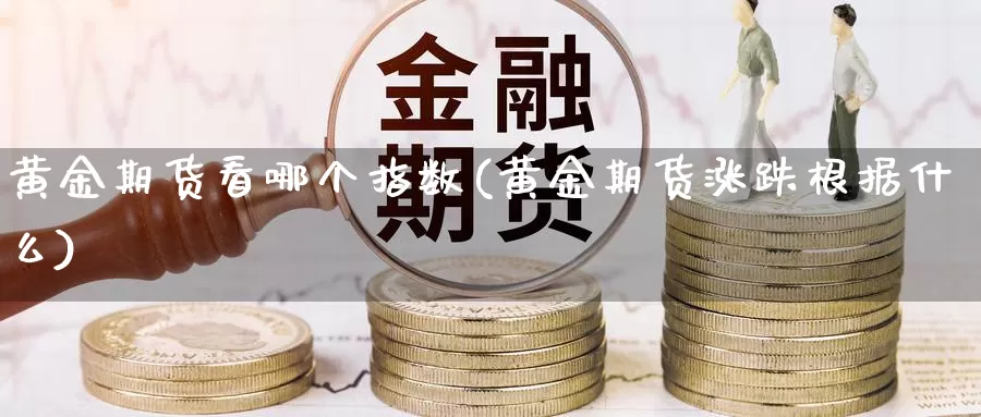 黄金期货看哪个指数(黄金期货涨跌根据什么)_https://www.hs300zs.com_原油期货_第1张