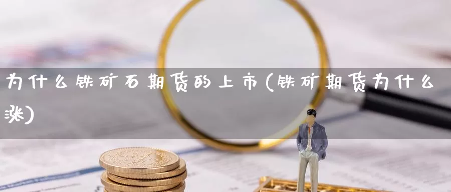 为什么铁矿石期货的上市(铁矿期货为什么涨)_https://www.hs300zs.com_基本面分析_第1张