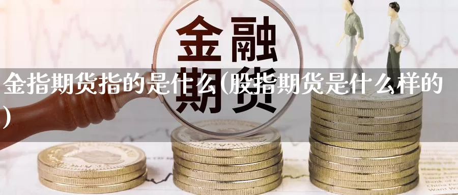 金指期货指的是什么(股指期货是什么样的)_https://www.hs300zs.com_行业分析_第1张