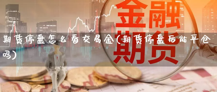 期货停盘怎么看交易金(期货停盘后能平仓吗)_https://www.hs300zs.com_行业分析_第1张