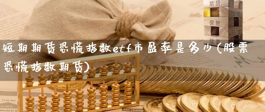 短期期货恐慌指数etf市盈率是多少(股票恐慌指数期货)_https://www.hs300zs.com_内盘期货_第1张