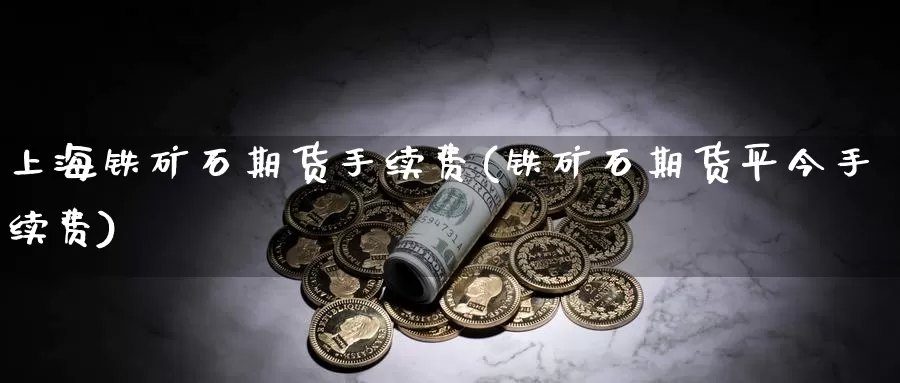 上海铁矿石期货手续费(铁矿石期货平今手续费)_https://www.hs300zs.com_黄金期货_第1张