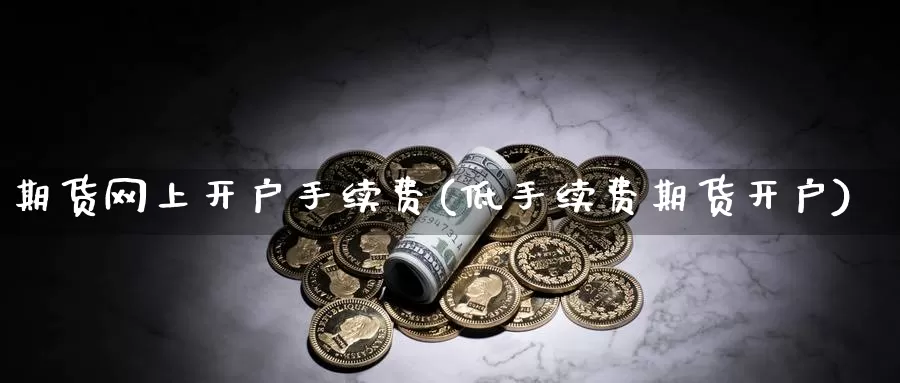 期货网上开户手续费(低手续费期货开户)_https://www.hs300zs.com_原油期货_第1张