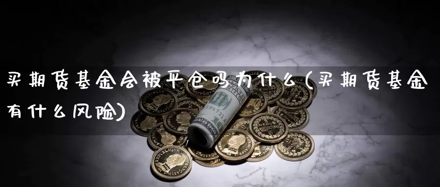 买期货基金会被平仓吗为什么(买期货基金有什么风险)_https://www.hs300zs.com_股指期货_第1张