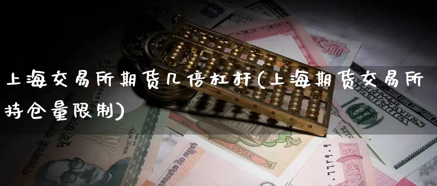 上海交易所期货几倍杠杆(上海期货交易所持仓量限制)_https://www.hs300zs.com_内盘期货_第1张