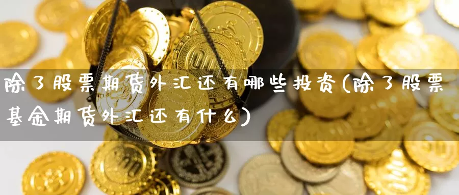 除了股票期货外汇还有哪些投资(除了股票基金期货外汇还有什么)_https://www.hs300zs.com_期货科普_第1张