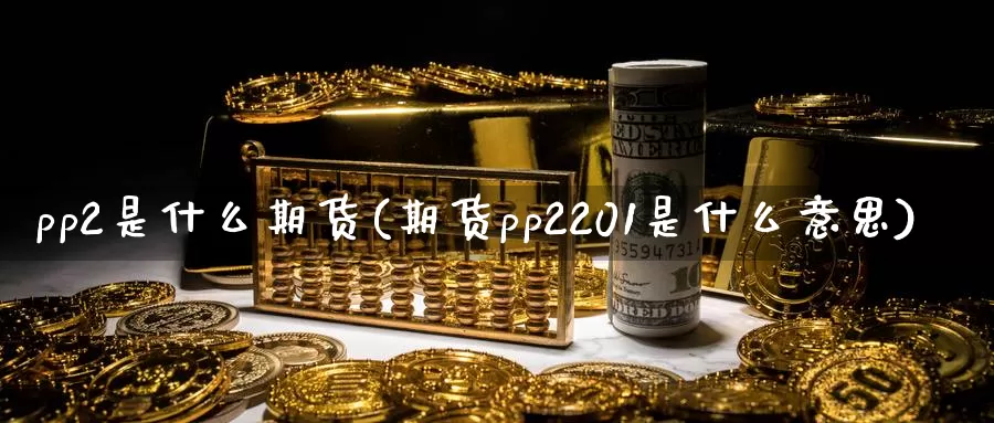 pp2是什么期货(期货pp2201是什么意思)_https://www.hs300zs.com_原油期货_第1张