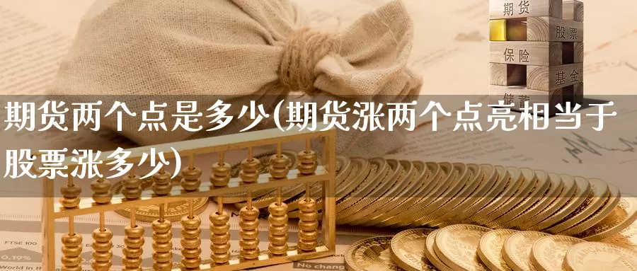 期货两个点是多少(期货涨两个点亮相当于股票涨多少)_https://www.hs300zs.com_内盘期货_第1张