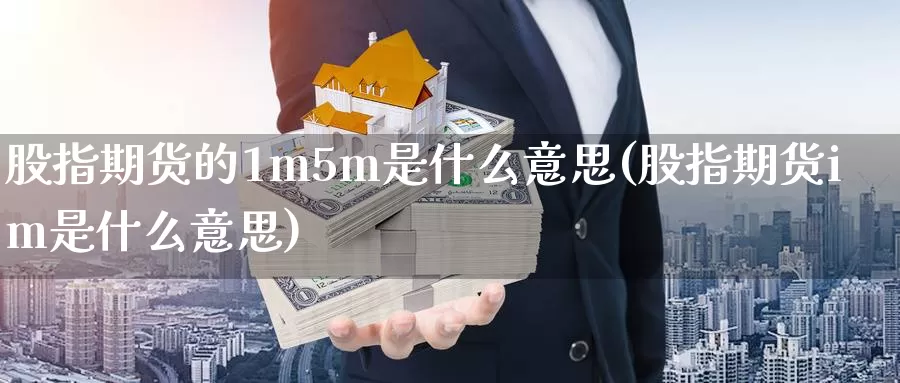 股指期货的1m5m是什么意思(股指期货im是什么意思)_https://www.hs300zs.com_农产品期货_第1张