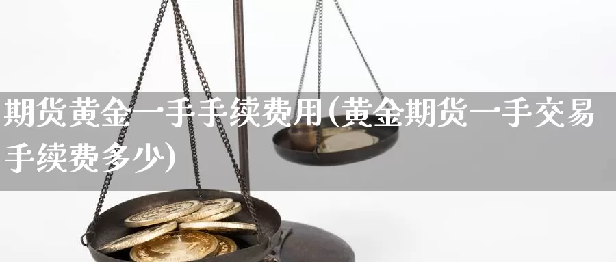 期货黄金一手手续费用(黄金期货一手交易手续费多少)_https://www.hs300zs.com_技术分析_第1张