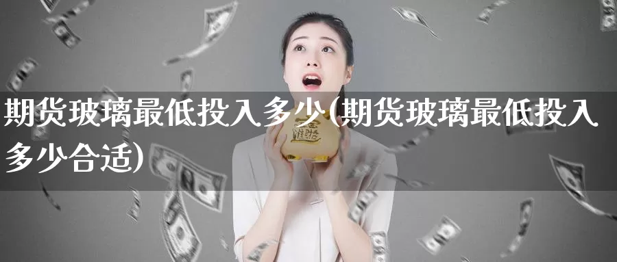 期货玻璃最低投入多少(期货玻璃最低投入多少合适)_https://www.hs300zs.com_外盘期货_第1张