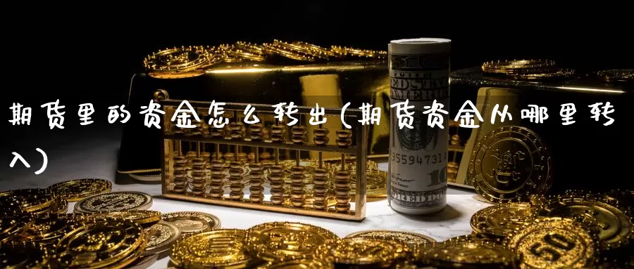 期货里的资金怎么转出(期货资金从哪里转入)_https://www.hs300zs.com_行业分析_第1张