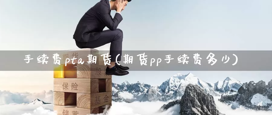 手续费pta期货(期货pp手续费多少)_https://www.hs300zs.com_黄金期货_第1张